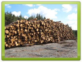 Log Pile